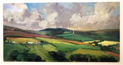 David J. Carr, British (1944 - 2009), oil on canvas, 'Commondale, North Yorkshire', signed and label