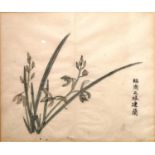 A Chinese 18th century framed and glazed wood block print, 'Stiff upright orchid', book plate from