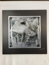 An overlaid photographic type print on aluminium and floated on a black mount. Signed