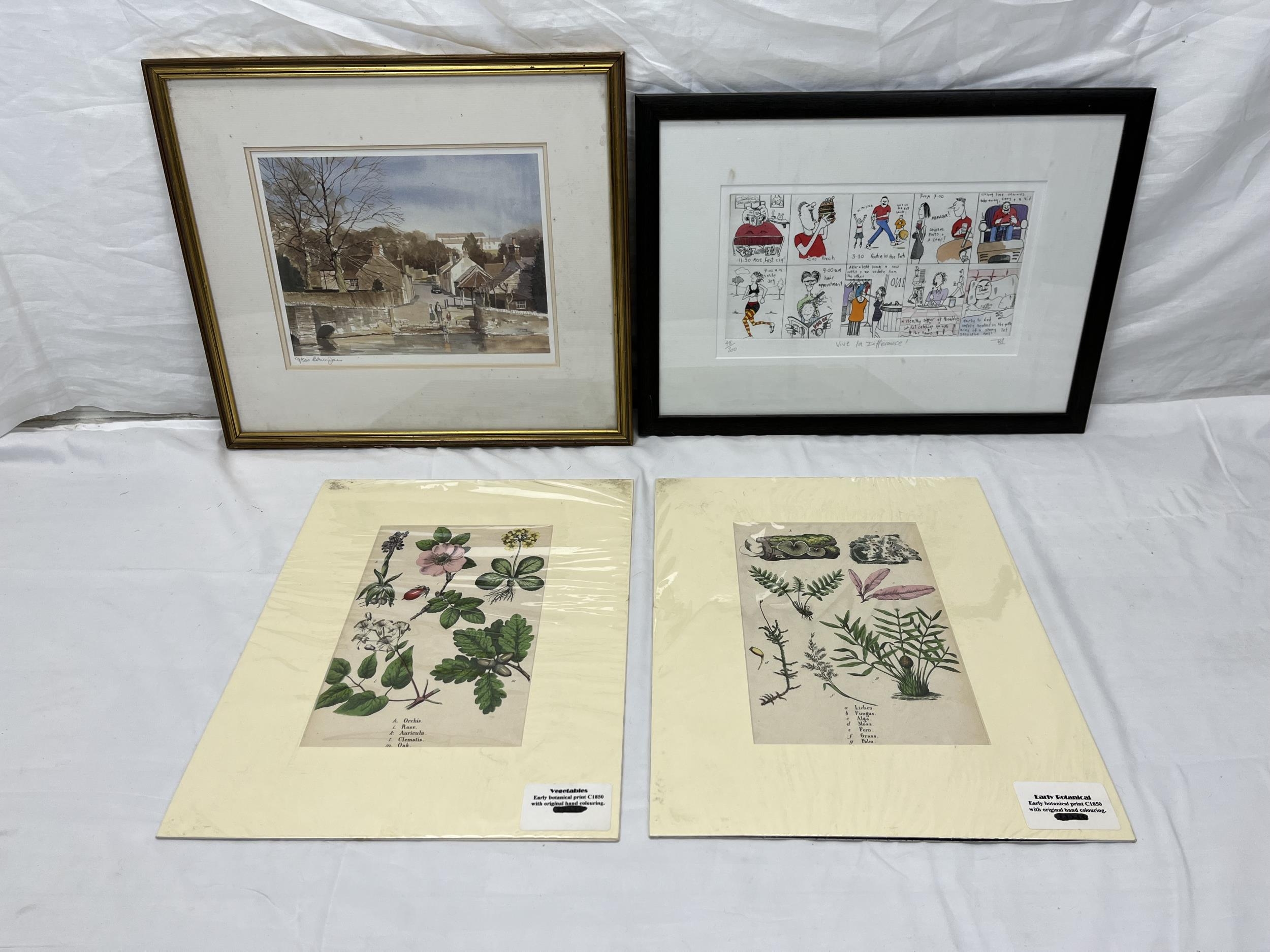 A pair of unframed botanical prints along with two framed and glazed numbered etchings. H.35 W.48.