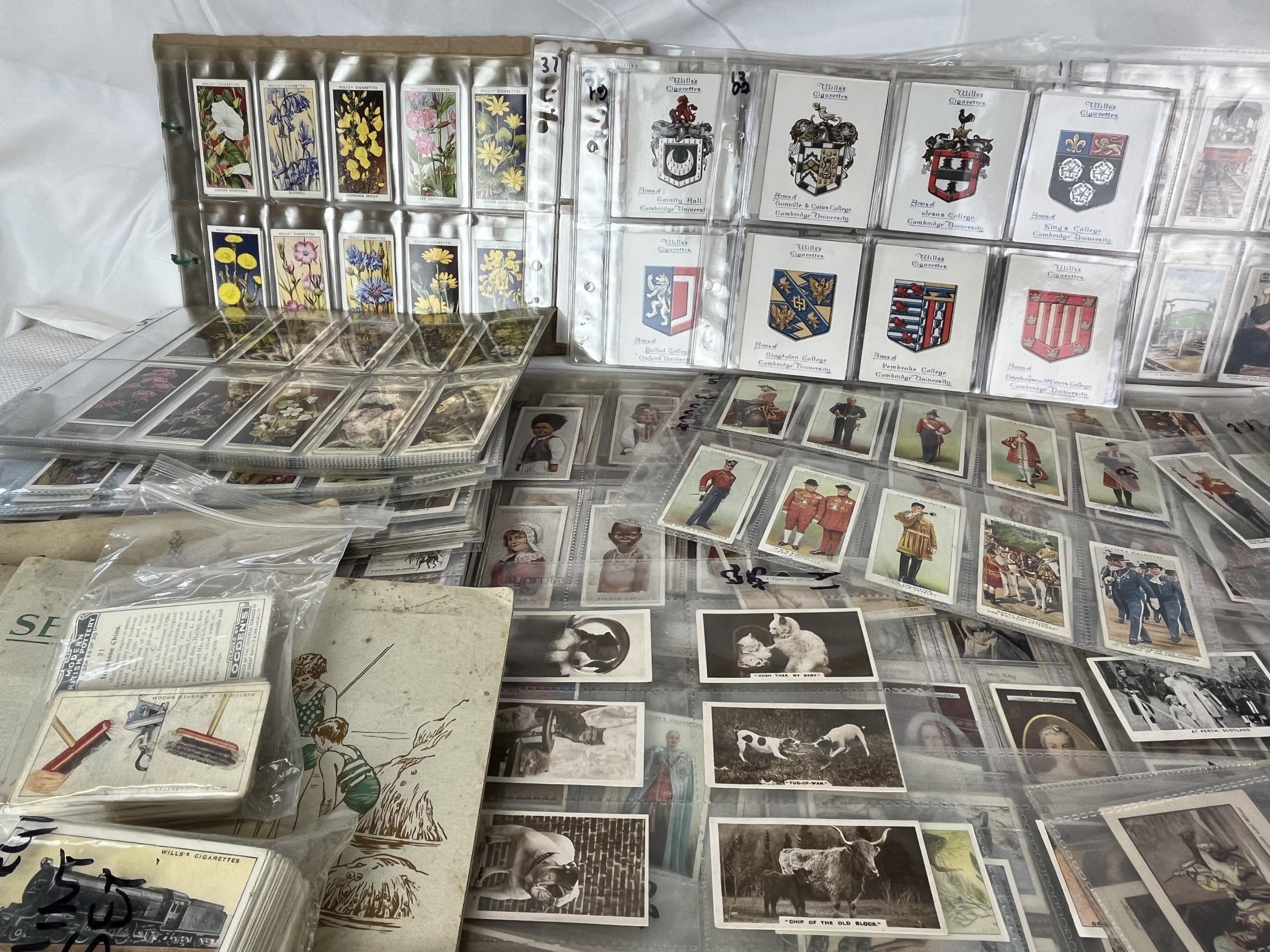 A very large quantity of cigarette cards, possibly over 2,000, all in sleeves along with a - Image 4 of 8