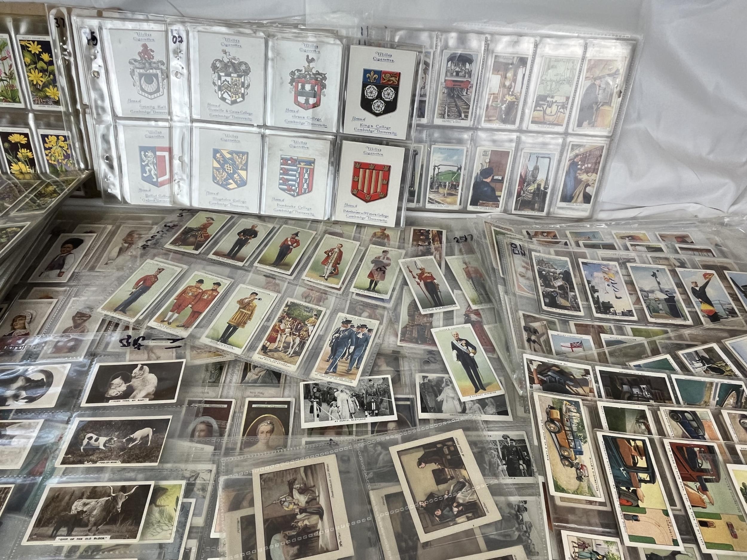 A very large quantity of cigarette cards, possibly over 2,000, all in sleeves along with a - Image 3 of 8