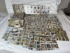 A very large quantity of cigarette cards, possibly over 2,000, all in sleeves along with a