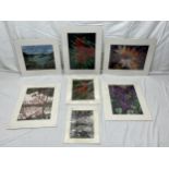 A collection of seven batiks, signed Sarah Tucker. Largest H.55 W.41.5cm.