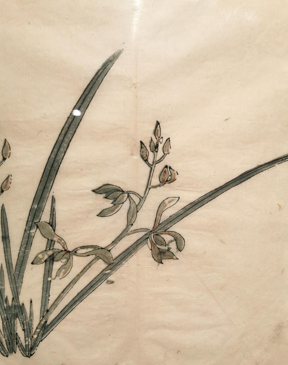 A Chinese 18th century framed and glazed wood block print, 'Stiff upright orchid', book plate from - Image 6 of 9