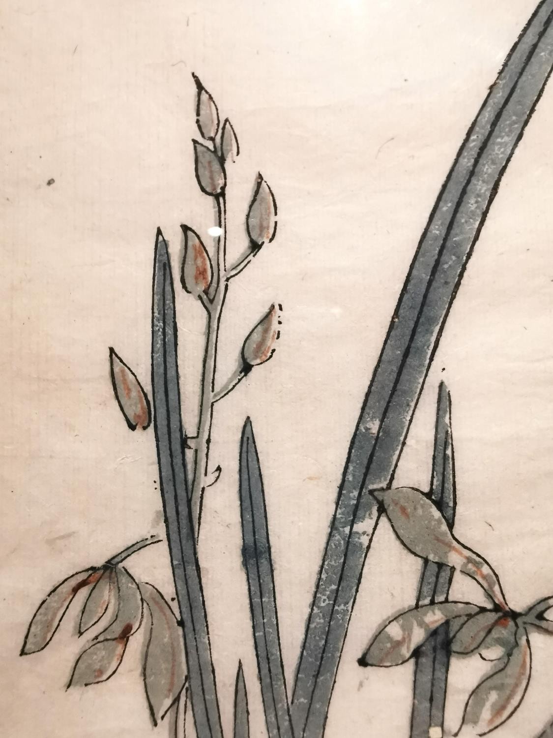 A Chinese 18th century framed and glazed wood block print, 'Stiff upright orchid', book plate from - Image 8 of 9