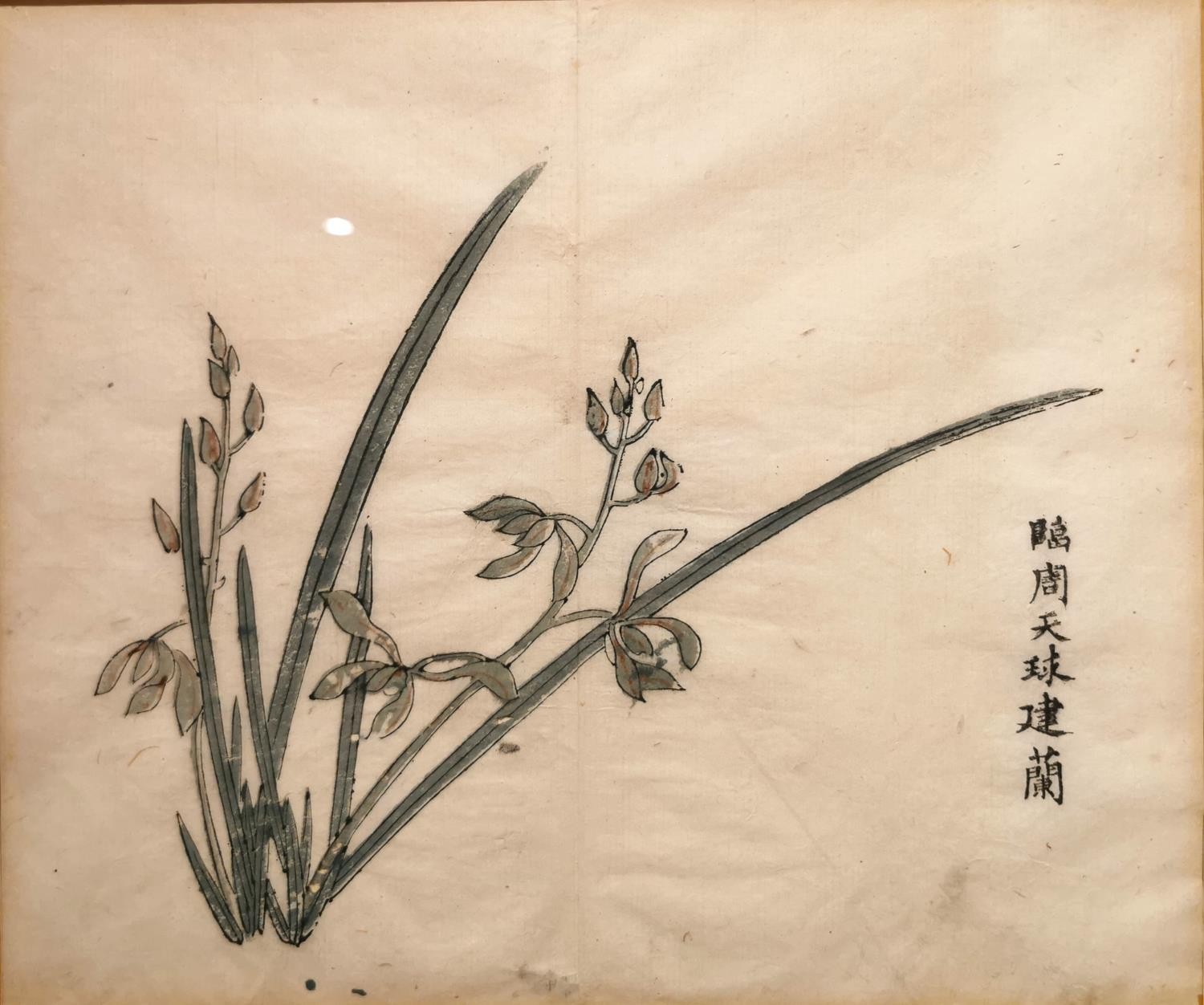 A Chinese 18th century framed and glazed wood block print, 'Stiff upright orchid', book plate from - Image 3 of 9