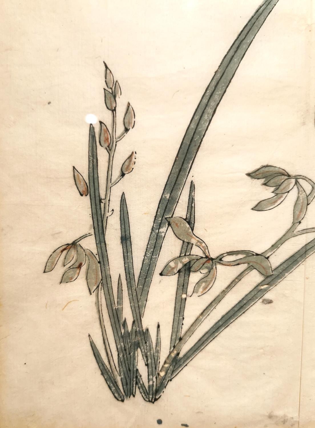 A Chinese 18th century framed and glazed wood block print, 'Stiff upright orchid', book plate from - Image 5 of 9