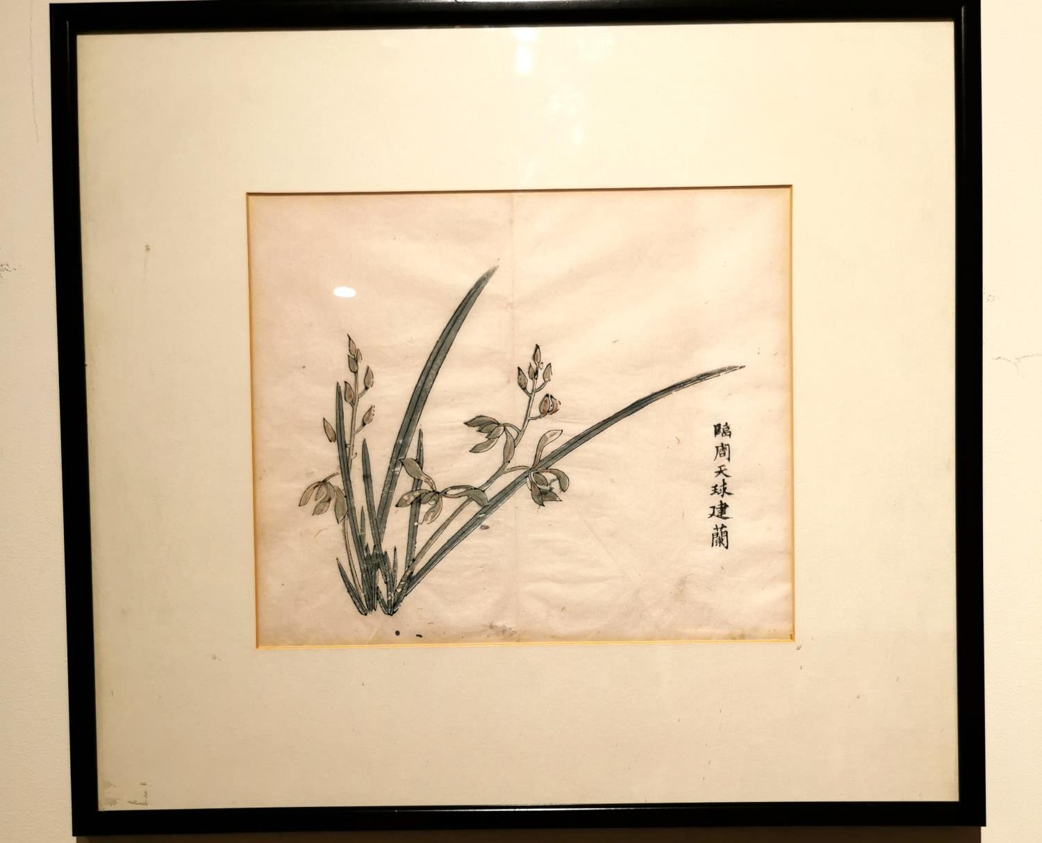 A Chinese 18th century framed and glazed wood block print, 'Stiff upright orchid', book plate from - Image 2 of 9