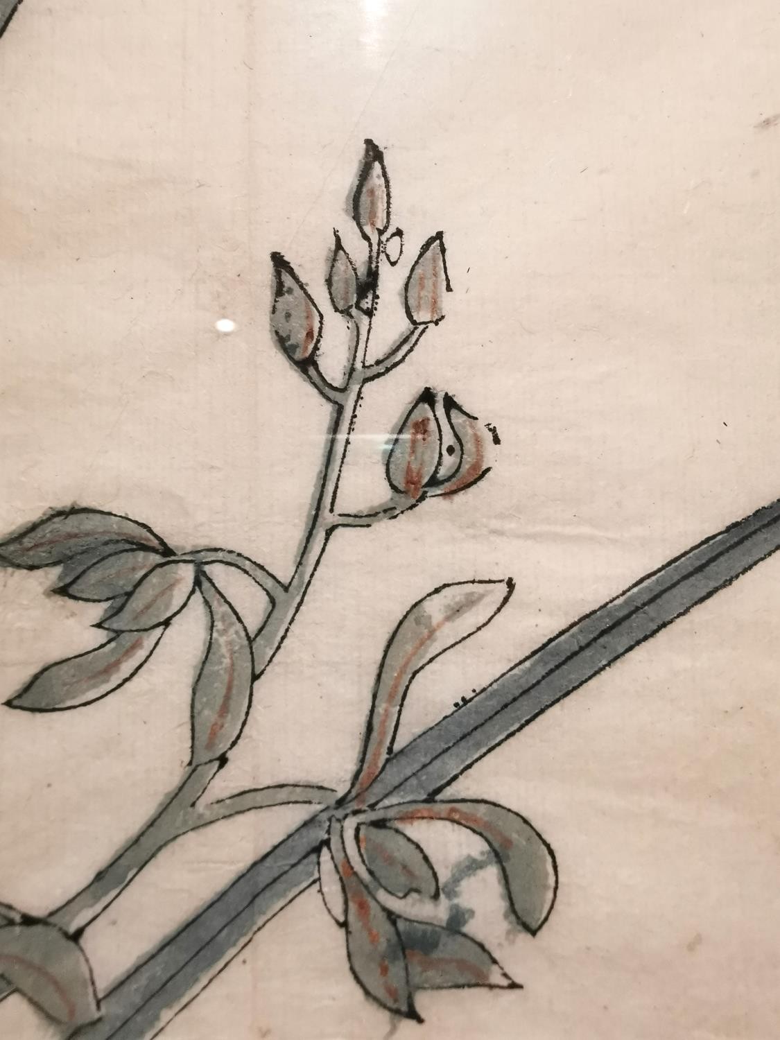 A Chinese 18th century framed and glazed wood block print, 'Stiff upright orchid', book plate from - Image 7 of 9