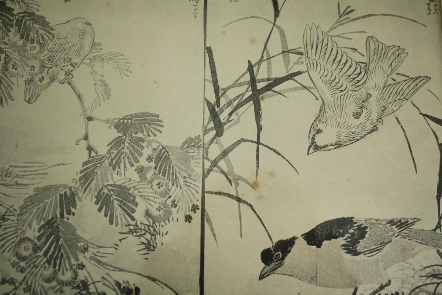 Four lithographs of Japanese woodblock prints. Signed in the plate with the artist's seal. Framed - Image 5 of 6