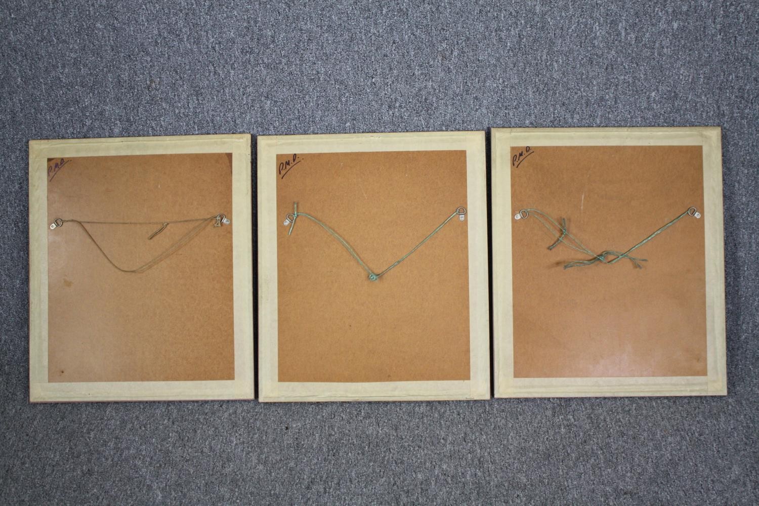 Book plate prints of birds, a set of three framed and glazed. H.54 W.46cm. (Each). - Image 5 of 5