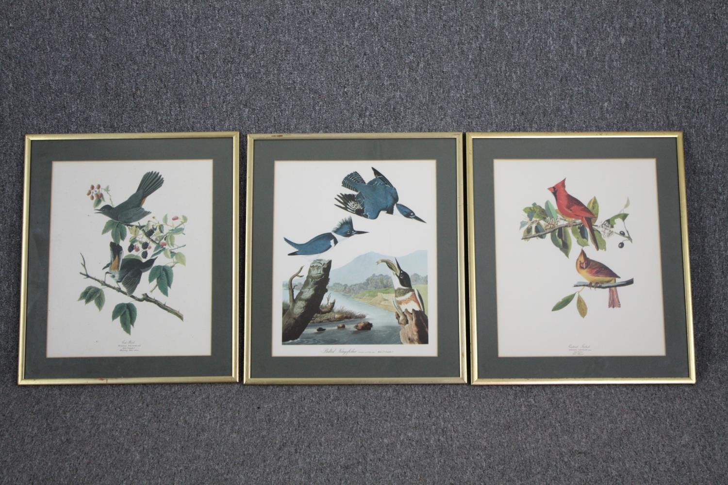 Book plate prints of birds, a set of three framed and glazed. H.54 W.46cm. (Each).