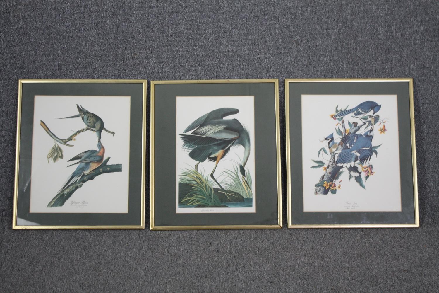 Book plate prints of birds, a set of three framed and glazed. H.54 W.46cm. (Each).