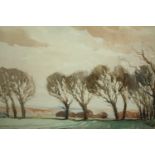 Watercolour, trees in a windswept landscape, signed D N Morgan. H.44 W.54cm.