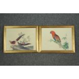 A pair of hand coloured 19th century engravings after the original rice paper paintings, Electus