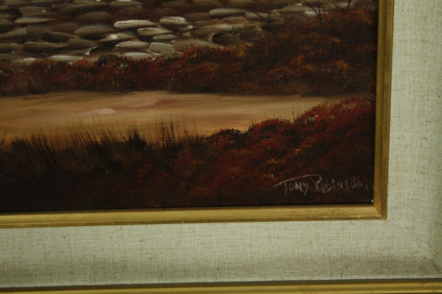 Oil on canvas, lakescape, signed Tony Robinson. H.66 W.55cm. - Image 3 of 4