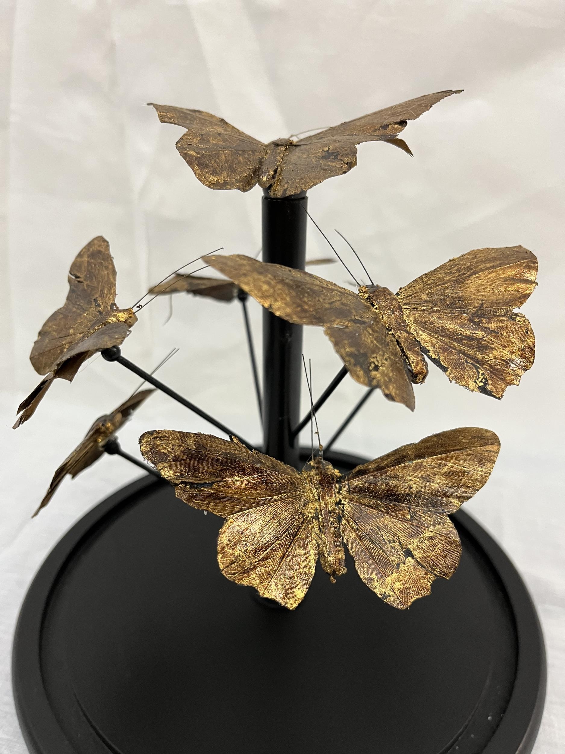 A collection of feather butterflies display under glass dome, contemporary reproduction with moulded - Image 4 of 4