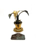 A brass trench art Alocasia plant in a pot made from a brass artillery shell along with a