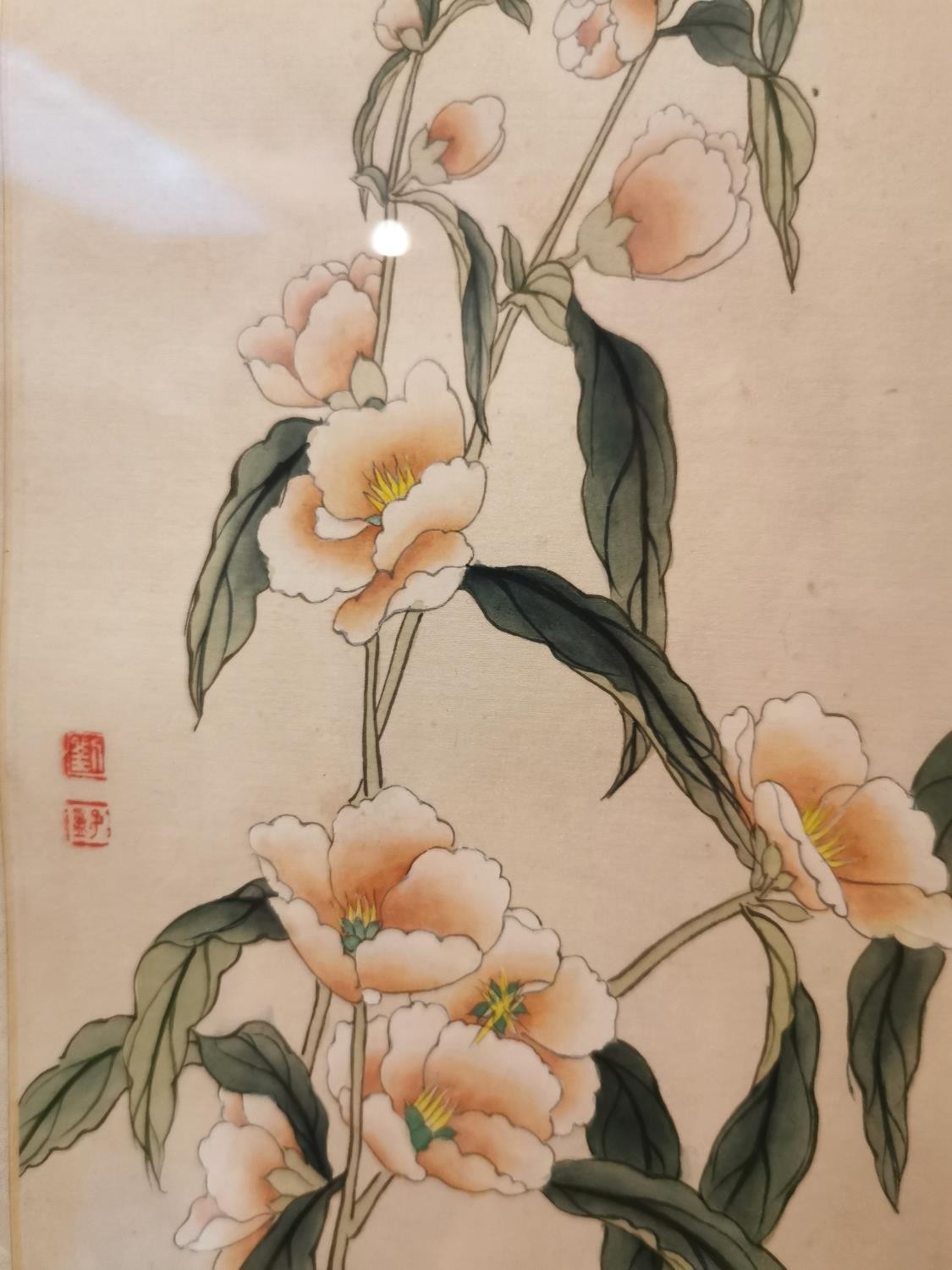 Two framed and glazed early 20th century Japanese ink on silk studies of flowers. Signed with - Image 4 of 5