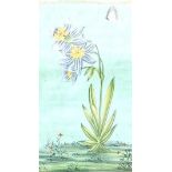 A 19th century Indo-Persian gouache on paper of a blue striped flower and butterfly within a