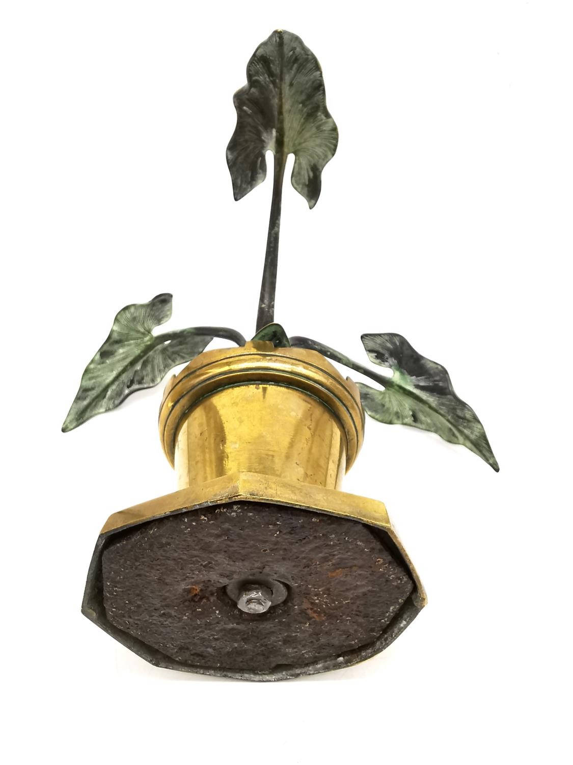 A brass trench art Alocasia plant in a pot made from a brass artillery shell along with a - Image 5 of 10