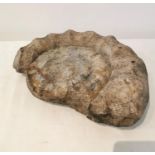 A large Ammonite fossil. L.34 W.27 H.9cm.