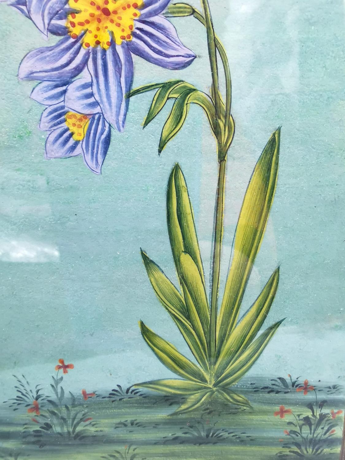 A 19th century Indo-Persian gouache on paper of a blue striped flower and butterfly within a - Image 5 of 6