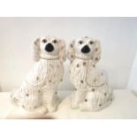 A pair of very large 19th century Staffordshire pottery spaniels with gold chain collars and painted