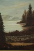 Oil on canvas, lakescape, signed Tony Robinson. H.66 W.55cm.