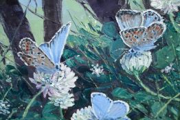 Oil on canvas, butterflies, signed Tricia Thomson with brief bio to the reverse. H.31 W.31cm.