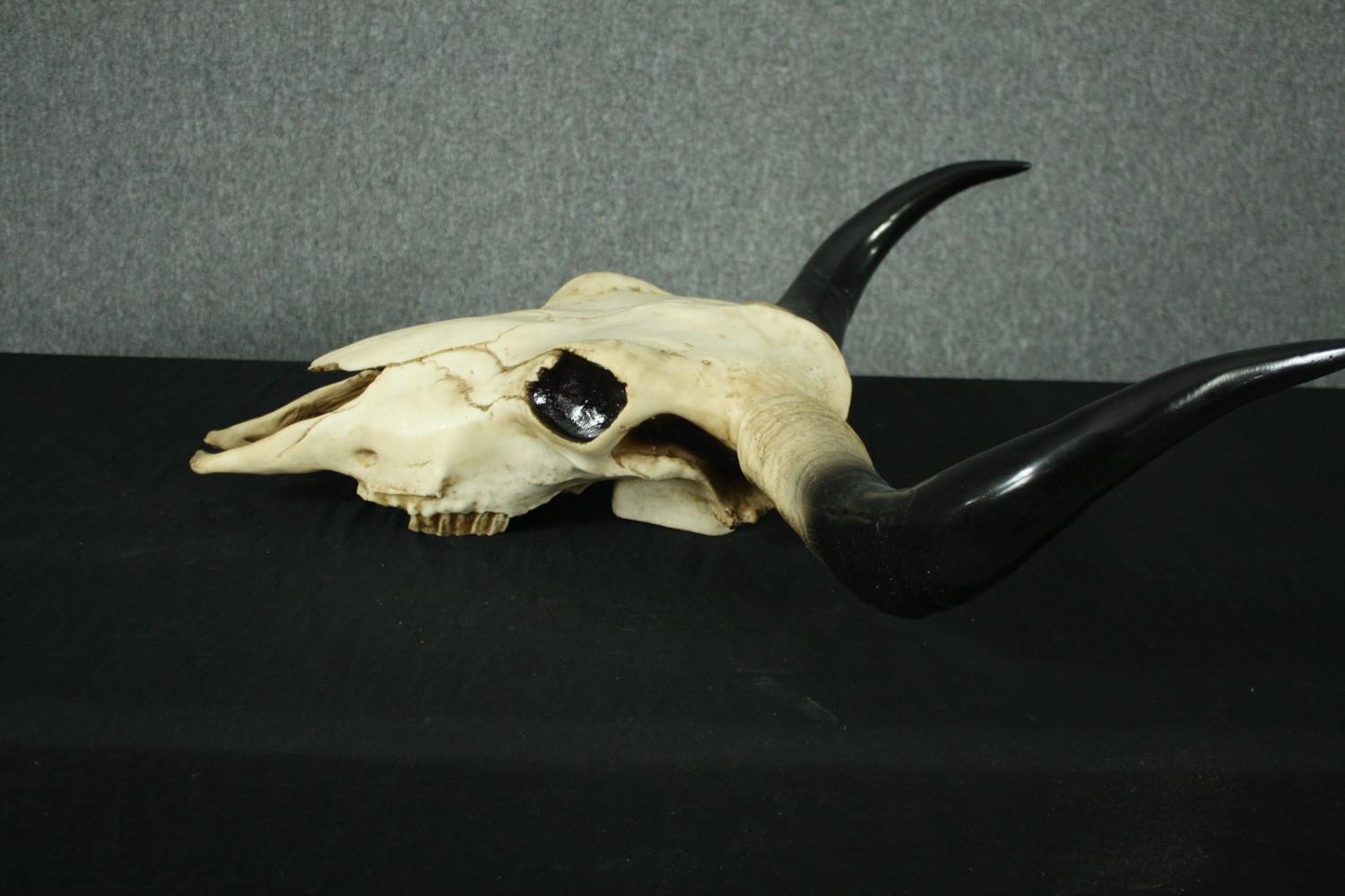 A moulded resin buffalo skull and horns. H.70 W.58cm. - Image 5 of 6