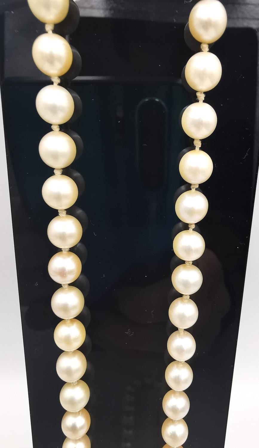 A long knotted string of graduated cultured pearls with 9ct yellow gold red stone set hook and - Image 4 of 8