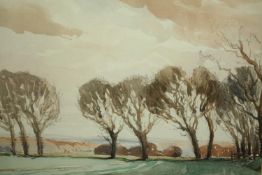 Watercolour, trees in a windswept landscape, signed D N Morgan. H.44 W.54cm.