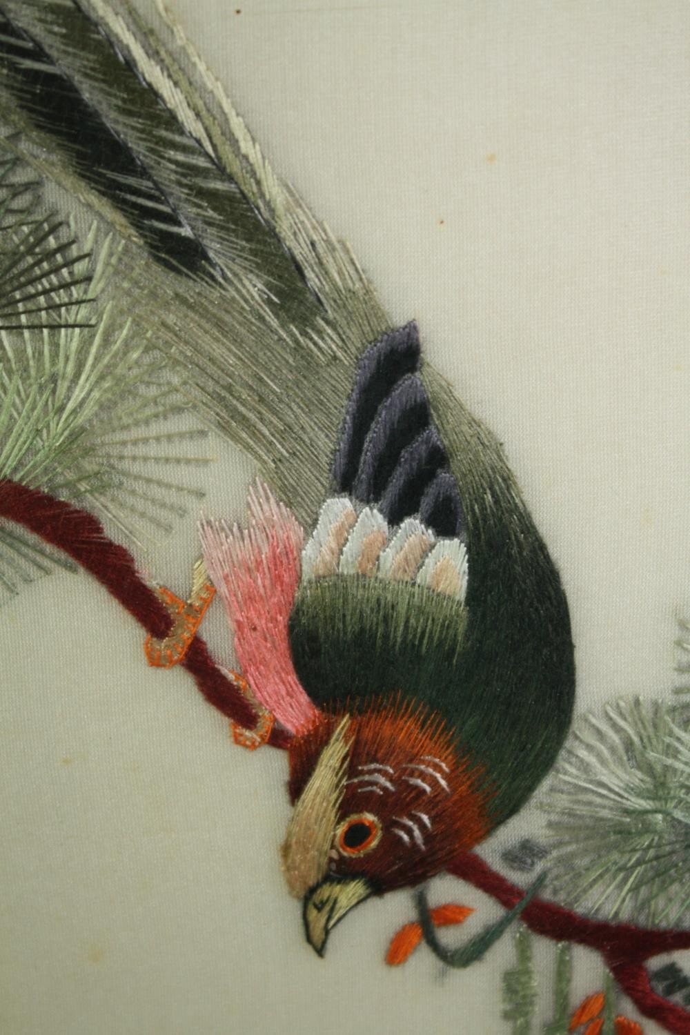 A framed and glazed Chinese silk embroidery, a pair of golden pheasants. H.74 W.34cm. - Image 3 of 4