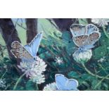 Oil on canvas, butterflies, signed Tricia Thomson with brief bio to the reverse. H.31 W.31cm.