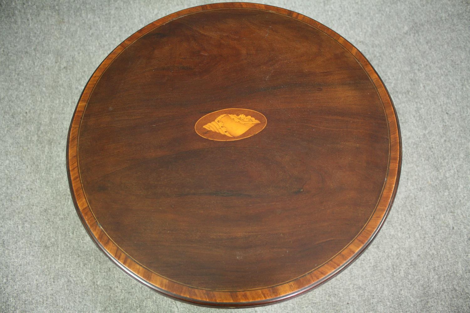 Occasional table, Edwardian mahogany with central satinwood conch shell inlay. H.71 D.53cm. - Image 5 of 5