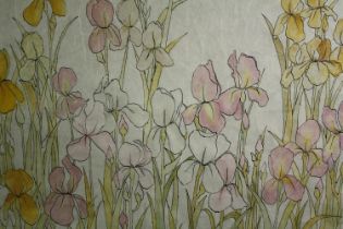 Watercolour, a bed of irises, indistinctly signed, unframed. H.77 W.100cm.
