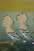 Gouache on paper, Indo Persian, two Hoopoes. H.43 W.31cm.