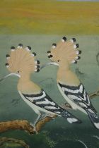 Gouache on paper, Indo Persian, two Hoopoes. H.43 W.31cm.