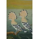 Gouache on paper, Indo Persian, two Hoopoes. H.43 W.31cm.