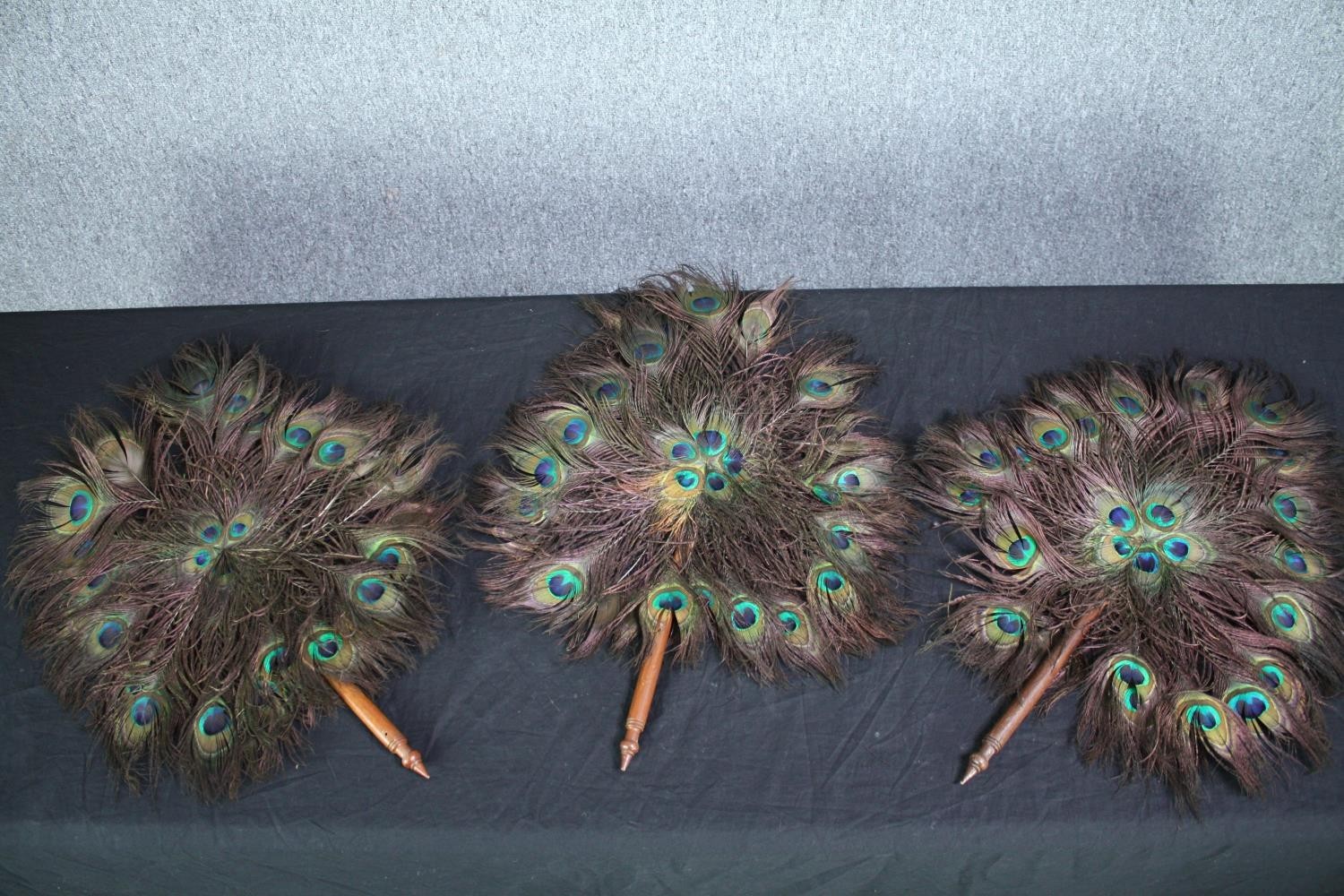Three peacock feather fans with turned handles. L.50cm. (each)
