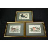 Three woven silkwork pictures of songbirds, framed and glazed. H.15 W.19cm. (each).