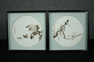 A pair of Chinese bird studies, 3 D feather art, framed and glazed. H.32 W.32cm. (each).