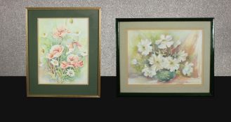 Watercolours, two flower studies, framed and glazed signed D Piesakowska. H.53 W.43cm.