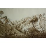 A 19th century framed and glazed sepia wash study of a rocky landscape. H.50 W.70cm.