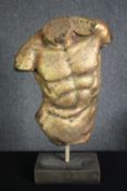 A moulded gilt Classical style male torso. H.68cm.