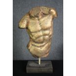 A moulded gilt Classical style male torso. H.68cm.