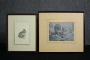 Two framed and glazed pencil studies. H.38 W.42cm. (largest)