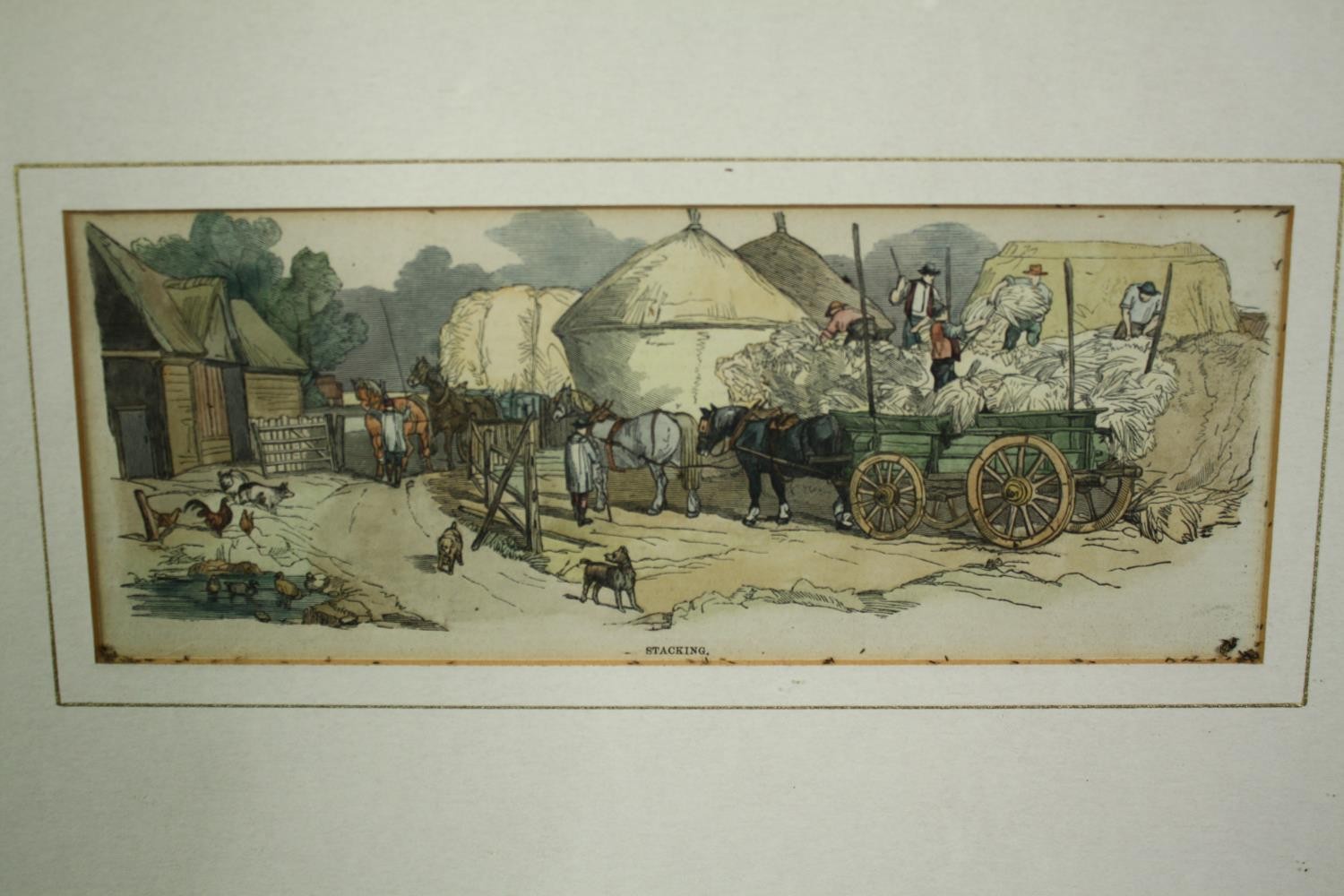 A set of three 19th century hand coloured engravings of agricultural interest, framed and glazed. - Image 6 of 8